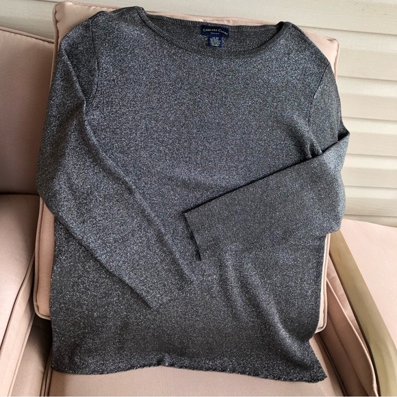 Charter Club Women Gray Shimmer Long Sleeve Round Neck Stretchy Blouse 2X - Picture 3 of 10